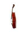 Cello Gliga Genial I Antiqued 1/2