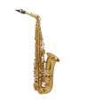 SAXO ALTO SELMER SUPREME DGG GOLDMESSING