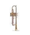 TROMPETA SELMER SIGMA GOLD SIB