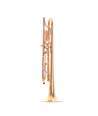 TROMPETA SELMER SIGMA GOLD SIB