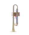 TROMPETA SELMER SIGMA MATE SIB