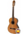 Guitarra Raimundo 118