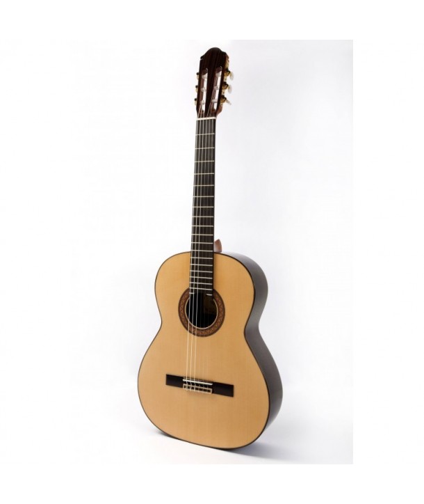 Guitarra Raimundo 130