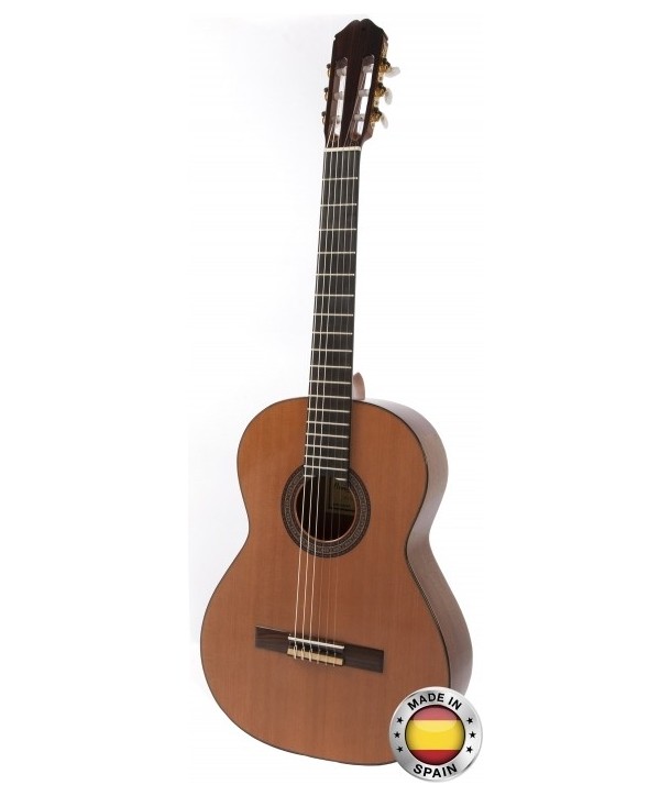 Guitarra Raimundo 136