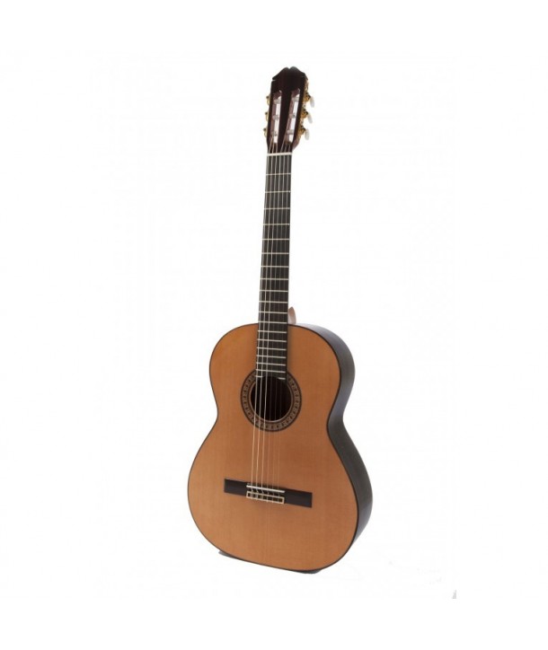 Guitarra Raimundo 146