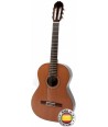 Guitarra Raimundo 150