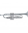 TROMPETA J. MICHAEL TR-300