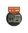 Acoustic Control AC15 AMP
