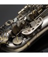 Saxo Alto John Packer JP045