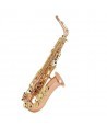 SAXO ALTO BUFFET SENZO BC2525-7B-0