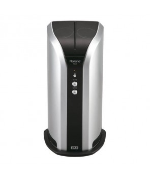Amplificador para Batería Electrónica Roland PM-200 - Musica, Arte y Sonido  S.L.