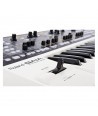 Sintetizador Roland GAIA SH-01