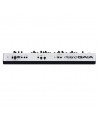 Sintetizador Roland GAIA SH-01