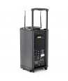 LD Systems Roadman 102