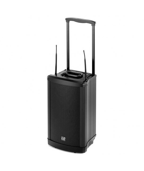 LD Systems Roadman 102