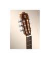 Guitarra Clásica de Estudio Alhambra 3 C 1/2